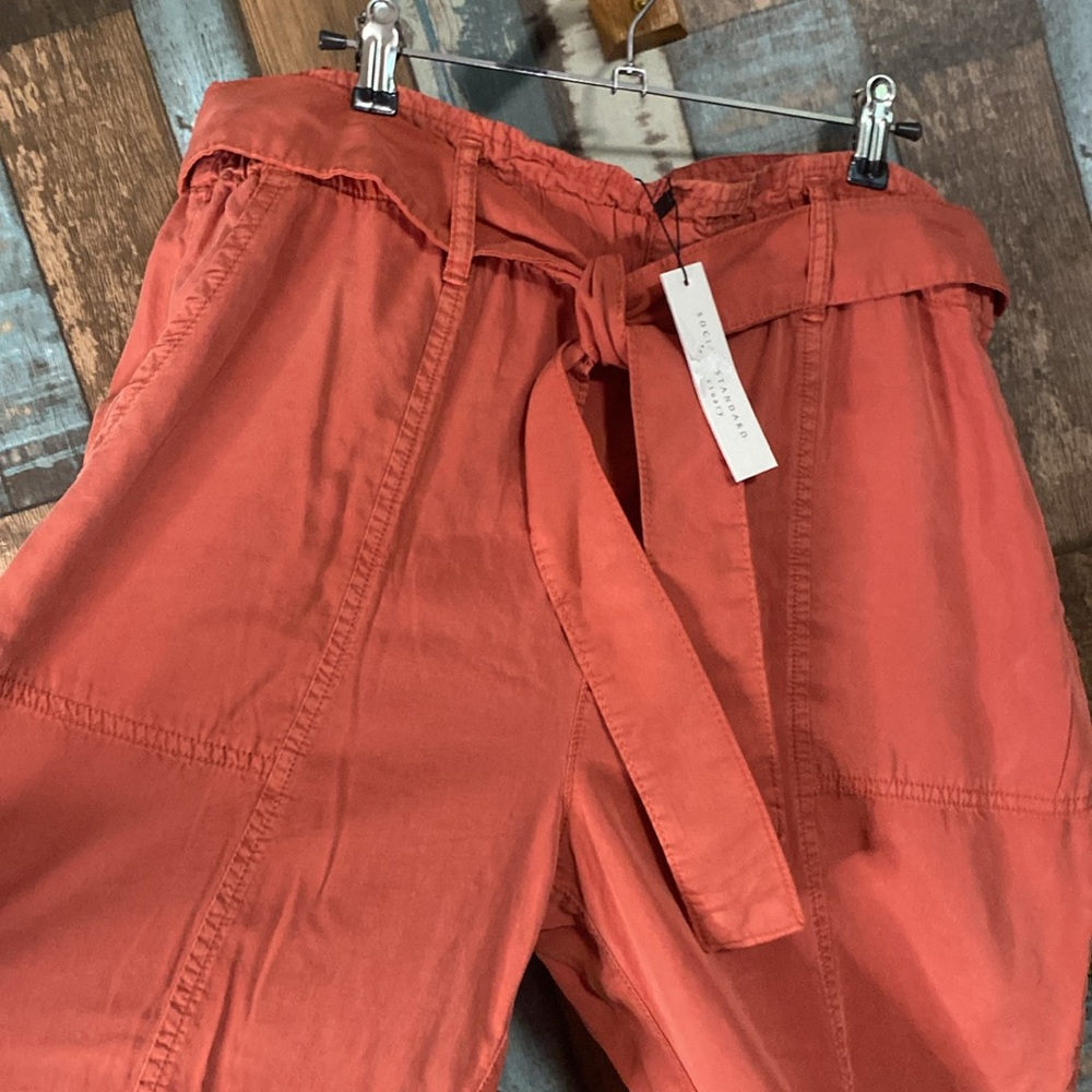 Social standard melody drapery tencel fabric belted pants - Picture 4 of 13
